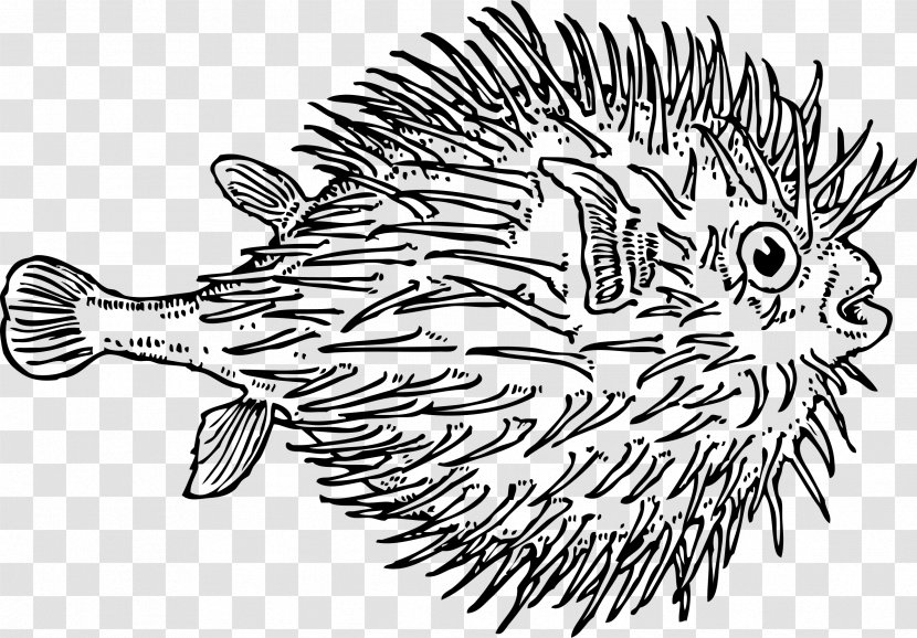 Pufferfish Drawing Clip Art - Black And White - Fisch Transparent PNG