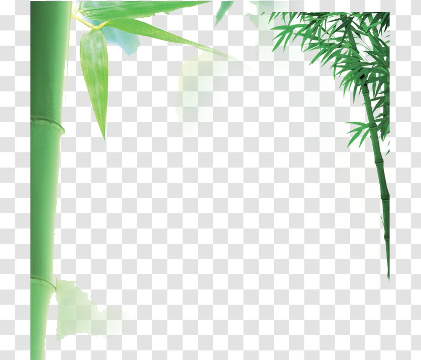 Bamboo Download - Green - Border Transparent PNG