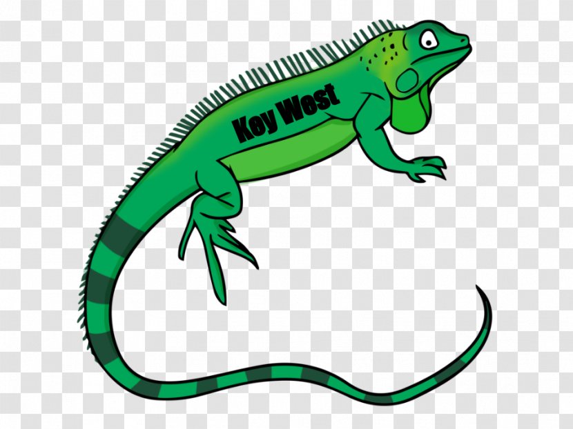 Lizard Green Iguana Clip Art Reptile Openclipart Transparent PNG