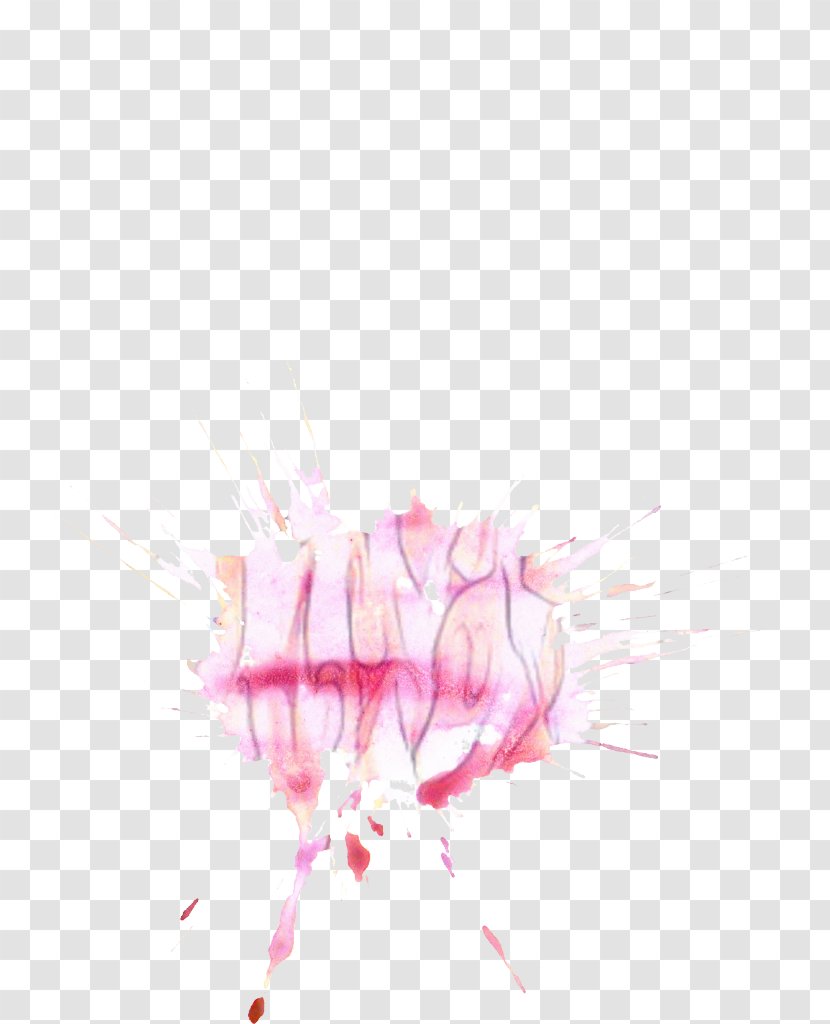Pink Rose - M - Magenta Plant Transparent PNG
