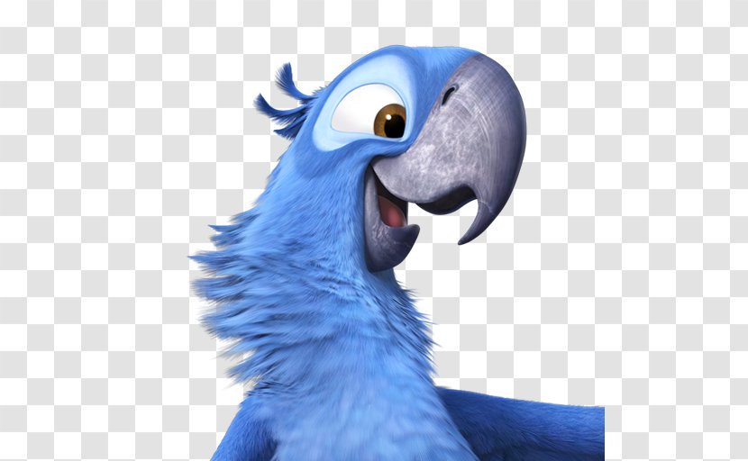 Macaw Parrot Wing Snout Parakeet - Rio2 Blu Transparent PNG