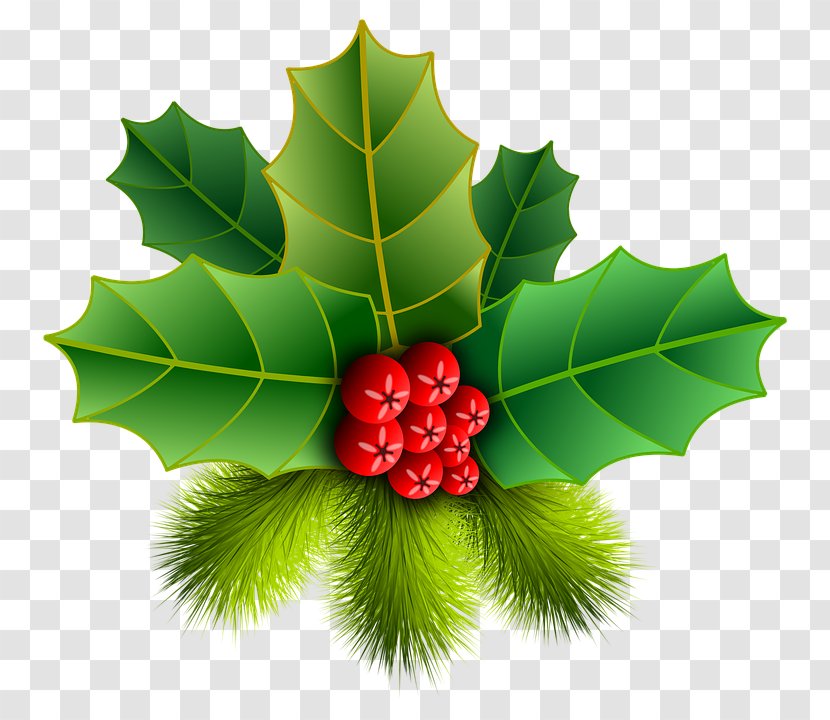 Christmas Ornament Common Holly Clip Art - Aquifoliaceae Transparent PNG