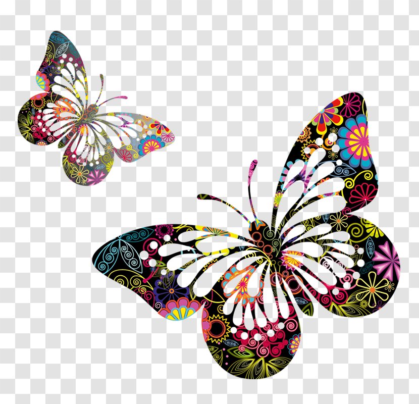 Butterfly Clip Art - Symmetry - Decoration Transparent PNG