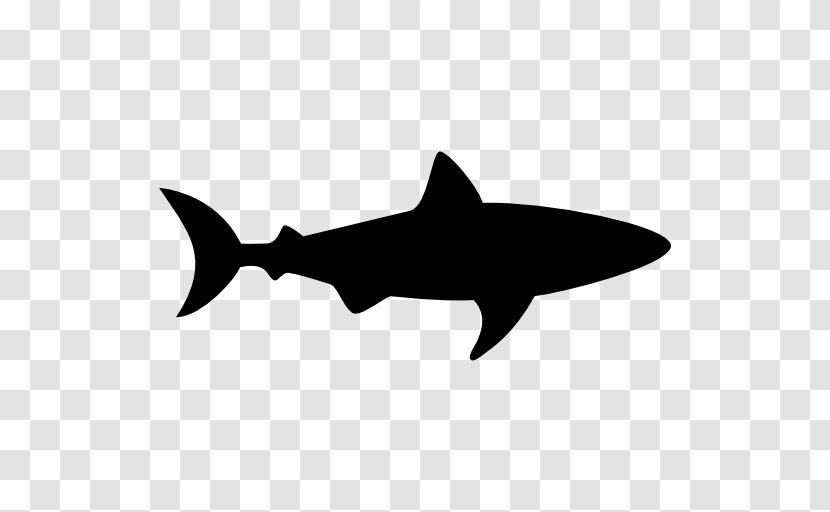 Hammerhead Shark Clip Art - Megalodon - Sharks Transparent PNG