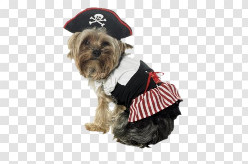 Morkie Dog Breed Puppy Yorkshire Terrier Costume - Halloween Transparent PNG