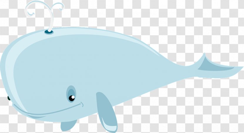 Dolphin Whale Porpoise Illustration - Istock Transparent PNG