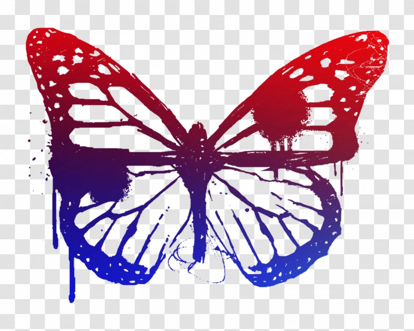 Butterfly Vector Graphics Drawing Clip Art Image - Pollinator - Arthropod Transparent PNG