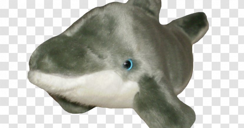 Dolphin Shark Goldfish Animal - Baby Transparent PNG