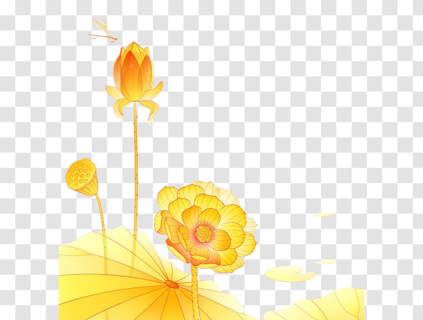 Nelumbo Nucifera Lutea Clip Art - Motif - Golden Lotus Transparent PNG