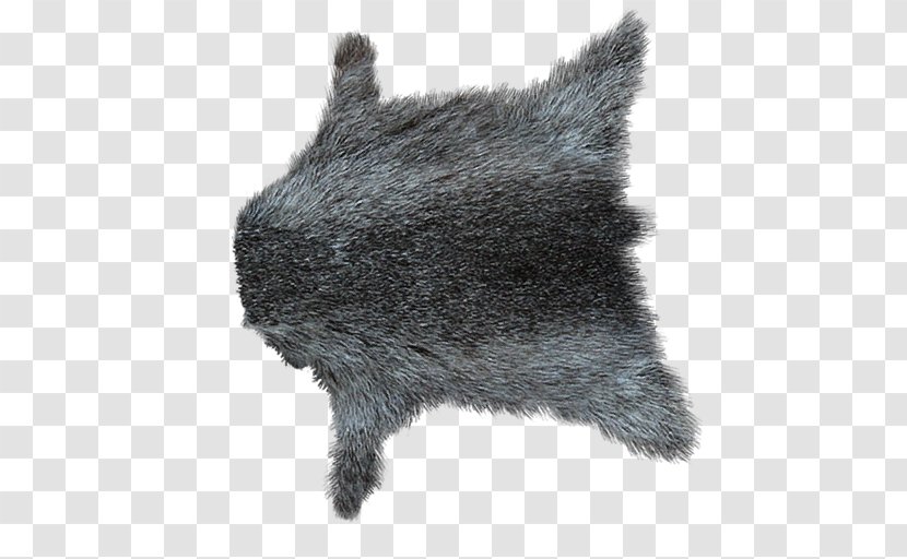 Fur Wall Hanging Dog - Wiki Transparent PNG