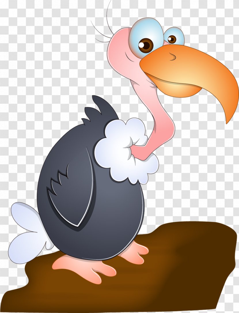 Vulture Stock Photography Clip Art - Can Photo - Turkey Bird Transparent PNG