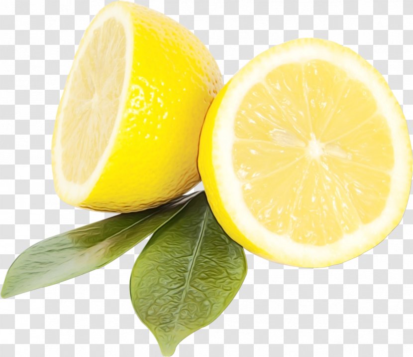 Cartoon Lemon - Citron - Key Lime Pomelo Transparent PNG