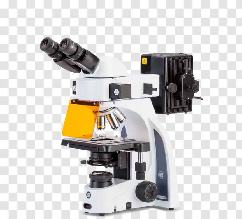 Fluorescence Microscope Stereo Petrographic - Science Transparent PNG