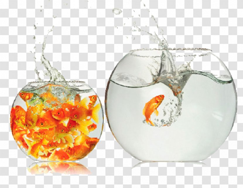 Comfort Zone Breakout Creativity Thought - Fish Bowl Transparent PNG