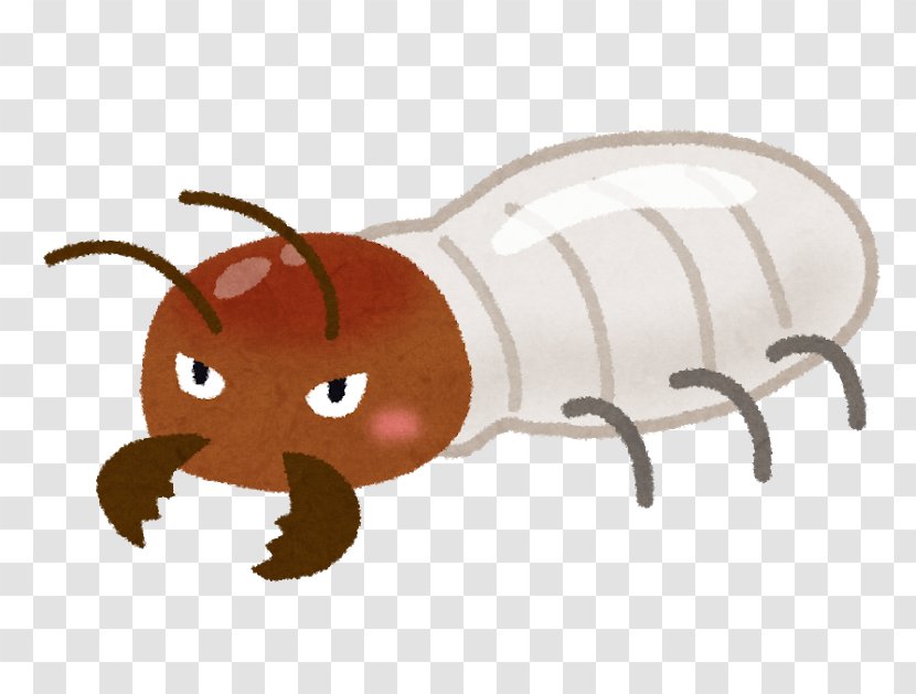 Ant Termite Pest Control House Insect - Renovation Transparent PNG