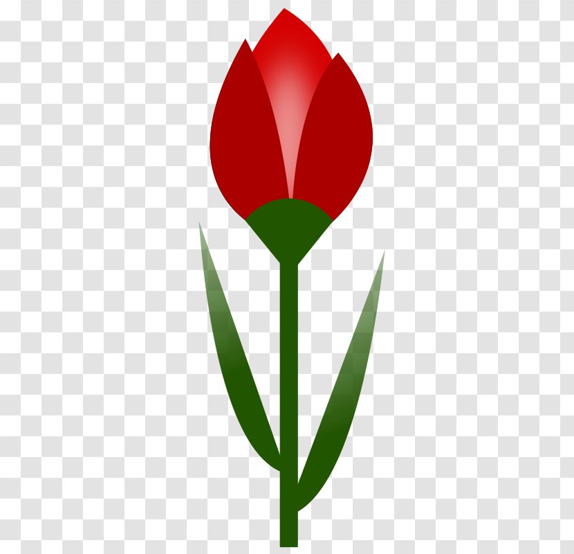 Tulip Flower Red Drawing Clip Art - Plant Stem Transparent PNG