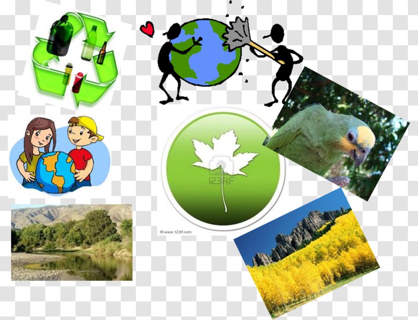 Conservation Movement Natural Environment Nature Resource - Collage Transparent PNG