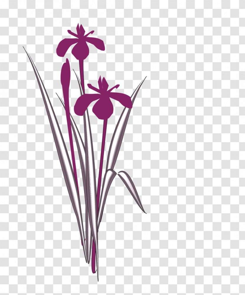 Cut Flowers Irises Floral Design - Flower Transparent PNG