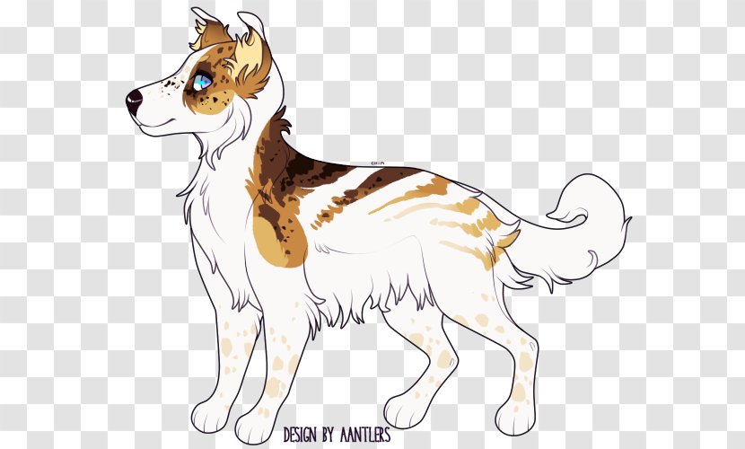 Whiskers Dog Breed Red Fox Cat - Carnivoran Transparent PNG