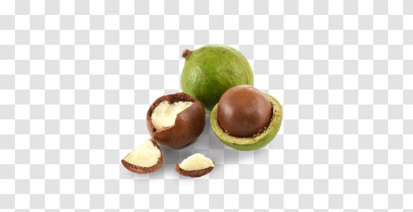 Macadamia Nut Oil Banana Bread - Hazelnut Transparent PNG