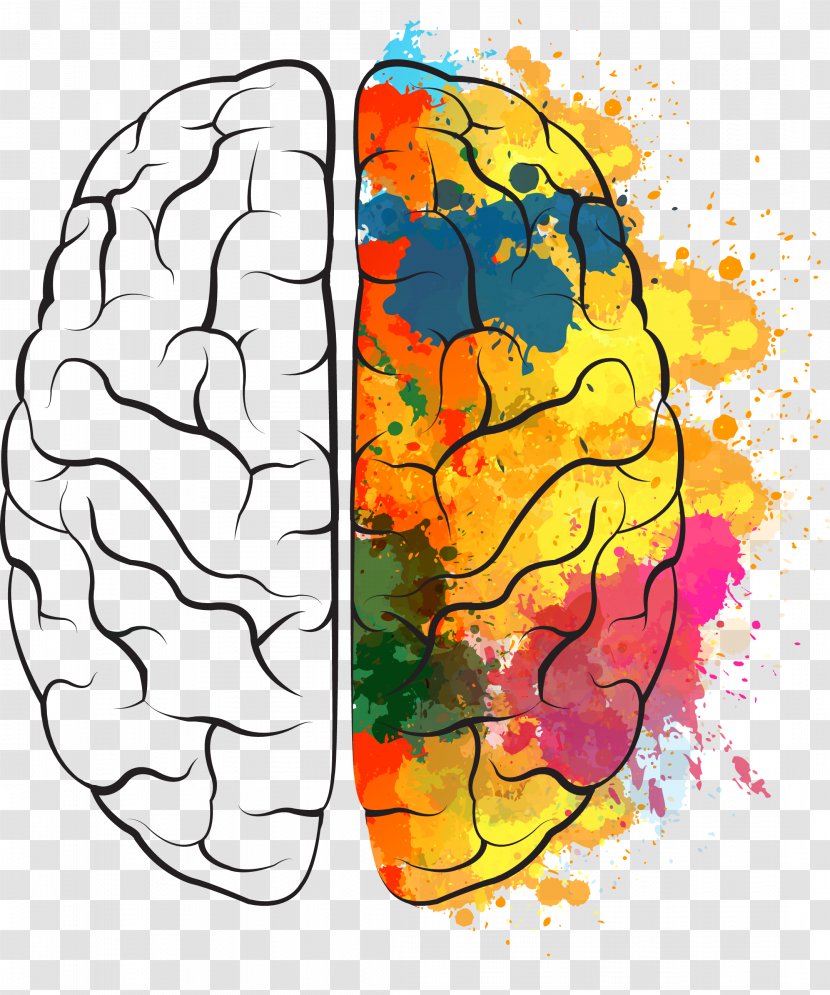 Brain Euclidean Vector Icon - Watercolor - Painted The Transparent PNG