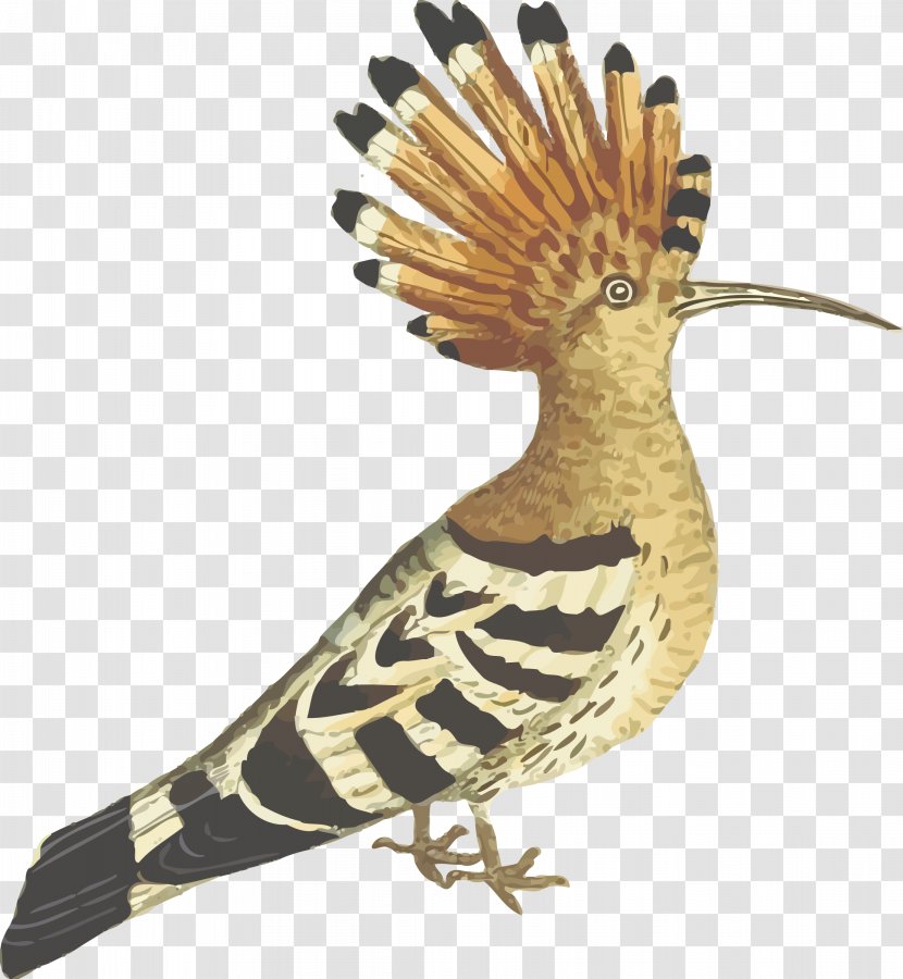 Bird Hoopoe Clip Art - Feather - Flock Of Birds Transparent PNG