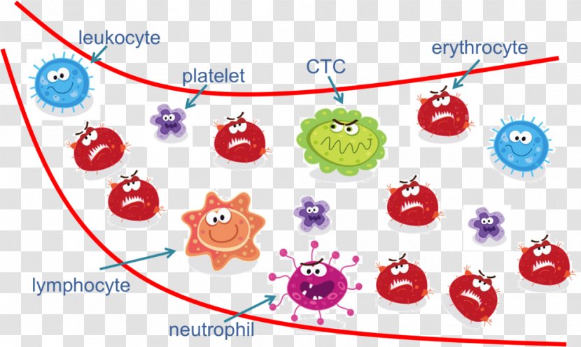 Circulating Tumor Cell Cancer Neoplasm Benign - Disease - Blood Flow Transparent PNG