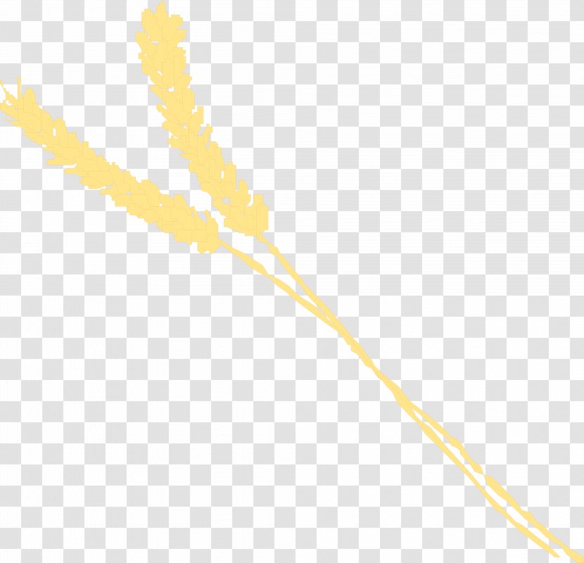 Grasses Yellow Commodity Plant Stem Family - Wheat Transparent PNG