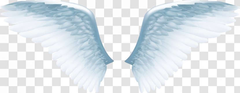 Angel Wing Icon - Sky - Exquisite White Wings Transparent PNG