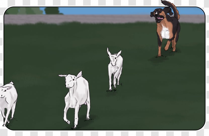 Goat Cattle Donkey Sheep Mammal - Horse Like Transparent PNG