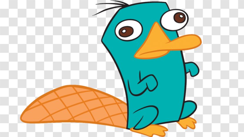 Perry The Platypus Phineas Flynn Dr. Heinz Doofenshmirtz Ferb Fletcher - Wing - Male Transparent PNG