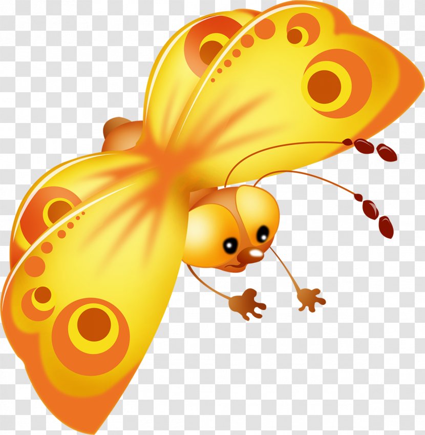 Butterfly Insect Clip Art - Cartoon - Rama Transparent PNG