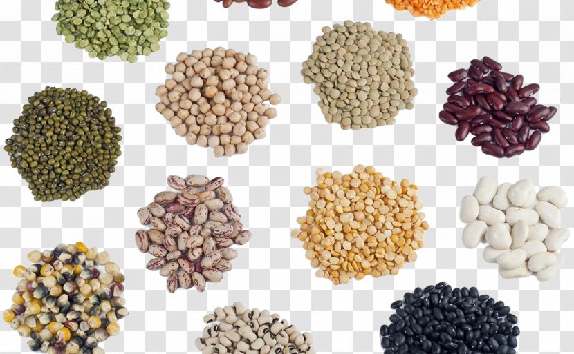 Seed Saving Agriculture Library Hybrid - Seeds Transparent PNG