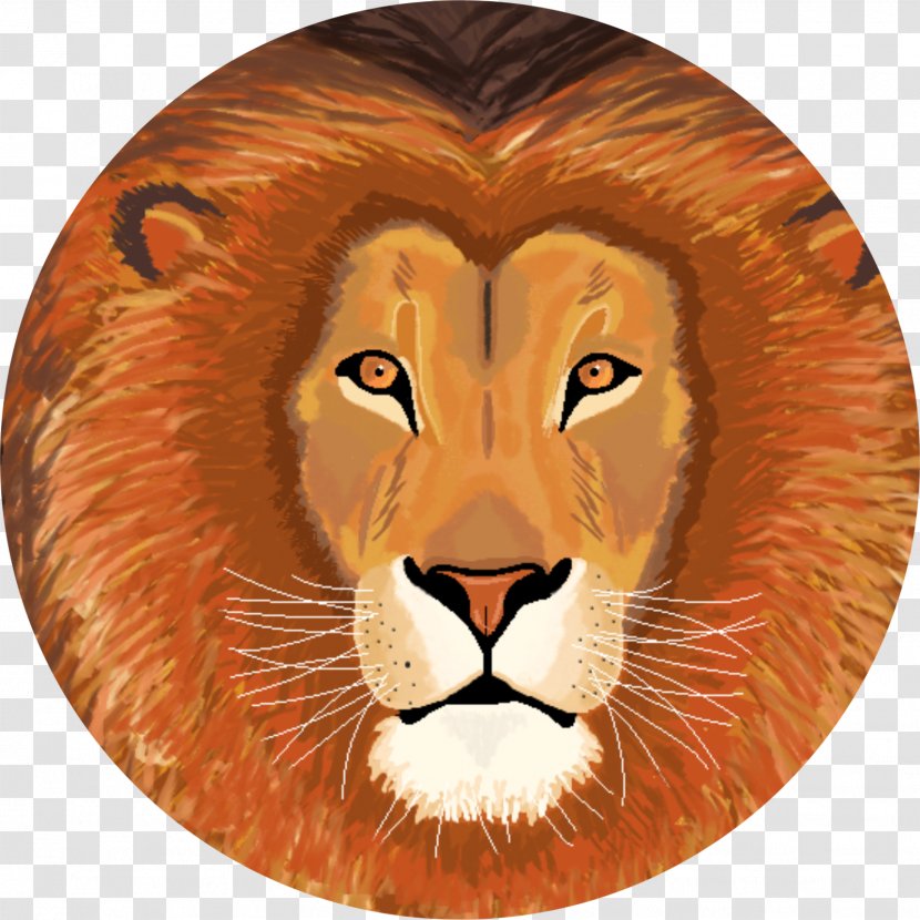 Lion Big Cat Felidae Cougar - Pet Transparent PNG