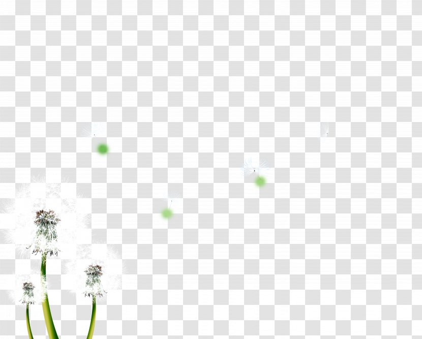 Butterfly Green Angle Pattern - Nature - Dandelion Transparent PNG