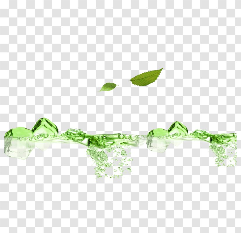 Green Modern Plant Decoration - Vecteur - Tree Transparent PNG