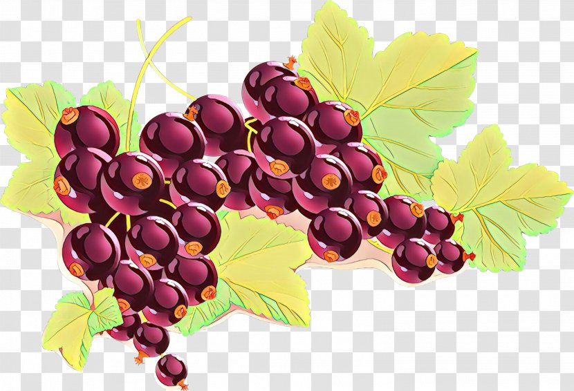 Leaves Background - Grape - Still Life Photography Berry Transparent PNG