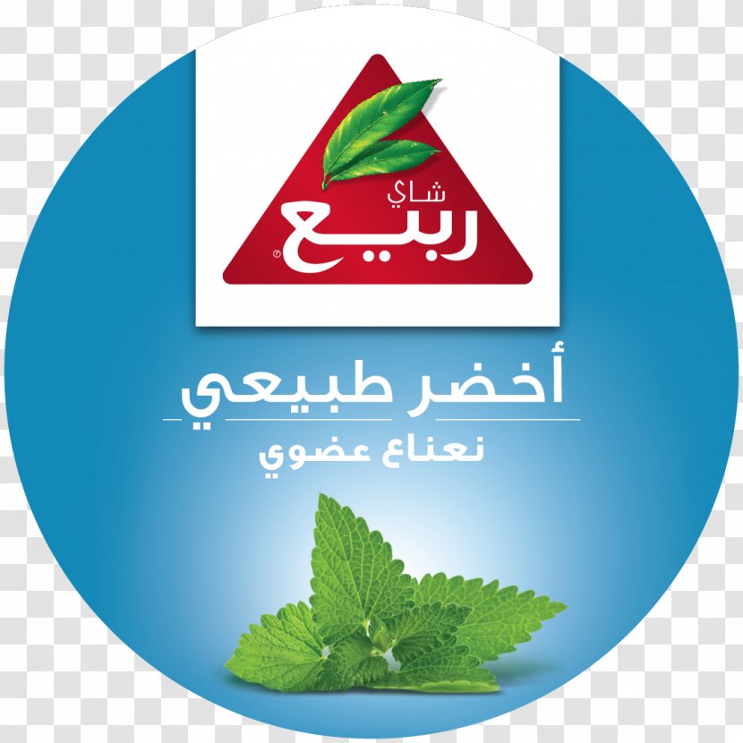 Green Tea Bag Peppermint Drink - Plant - Arabic Transparent PNG