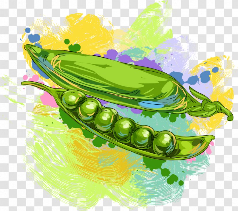 Fruit Vegetable Pea Illustration - Vector Peas Transparent PNG