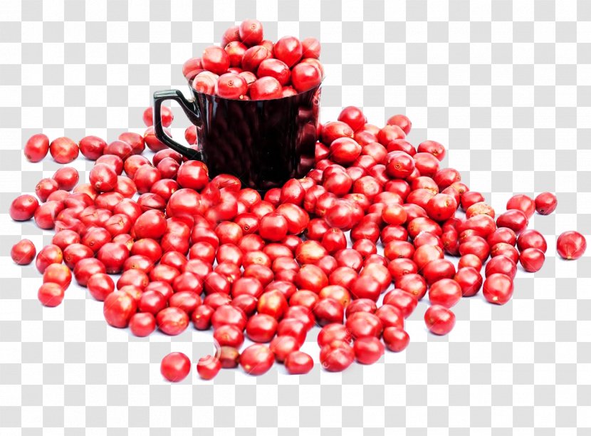 Coffee Bean Berry Cup - Stock Photography - Red Tree Beans Picture Material Transparent PNG