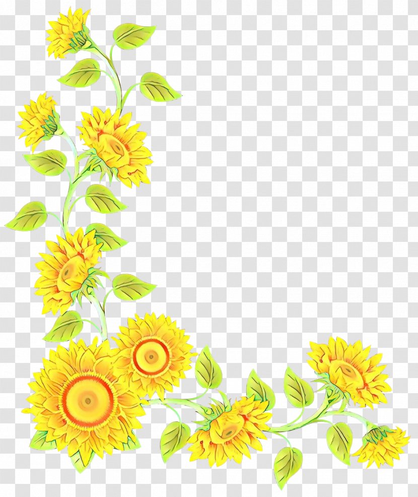 Sunflower Clip Art - Flower - Floral Design Chamomile Transparent PNG