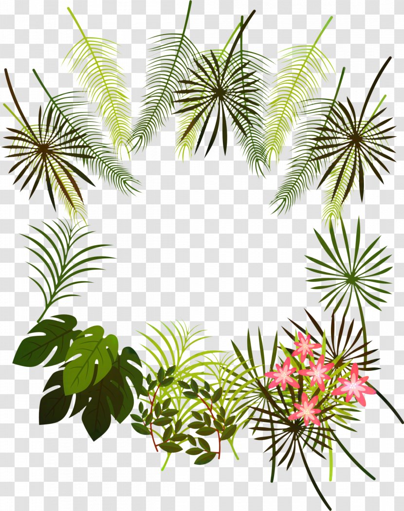 Black And White Flower - Plants - Pine Family Attalea Speciosa Transparent PNG