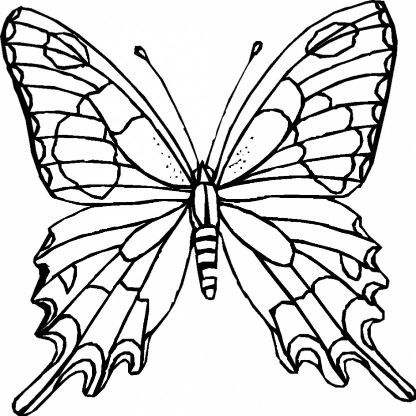 Monarch Butterfly Outline Coloring Book Clip Art - Animal - Black And White Pictures Transparent PNG