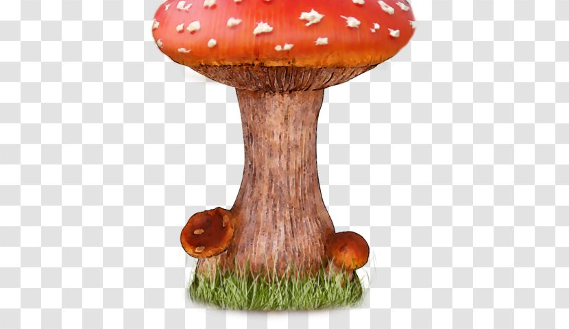 Mushroom Cartoon - Fungus - Agaricus Agaricaceae Transparent PNG
