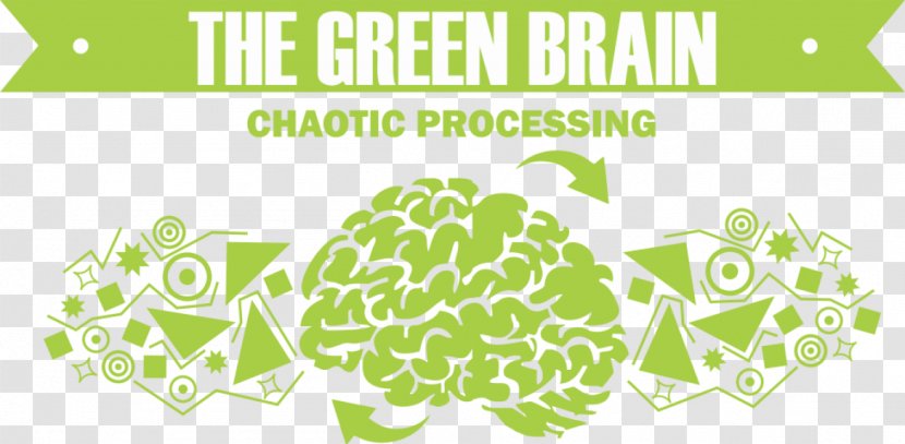 Brain Green Color Memory Red Transparent PNG