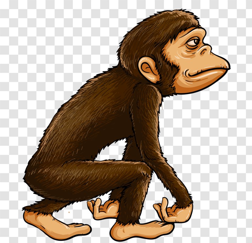 Royalty-free Stock Photography Illustration - Primate - Brown Monkey Transparent PNG