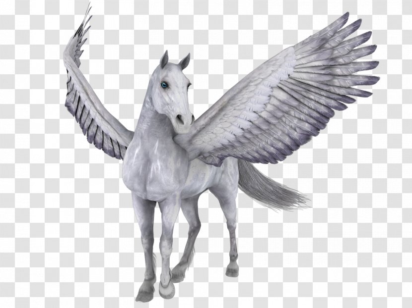 Angels Horse Pegasus - Unicorn Transparent PNG