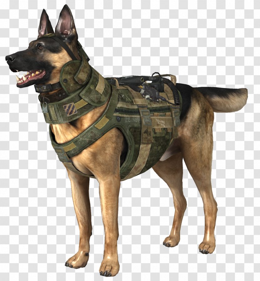 Call Of Duty: Ghosts Black Ops WWII Xbox One Wikia - Dog Like Mammal - Duty Transparent PNG