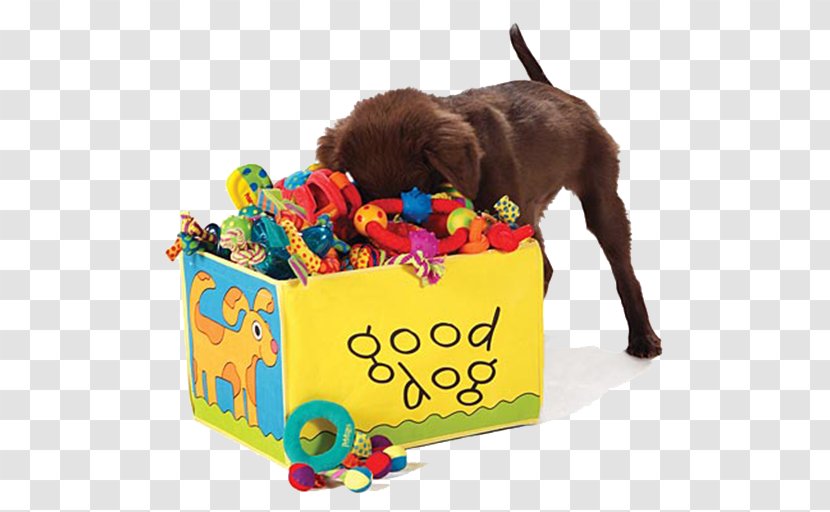 Dog Toys Puppy Crate - Petsmart Transparent PNG