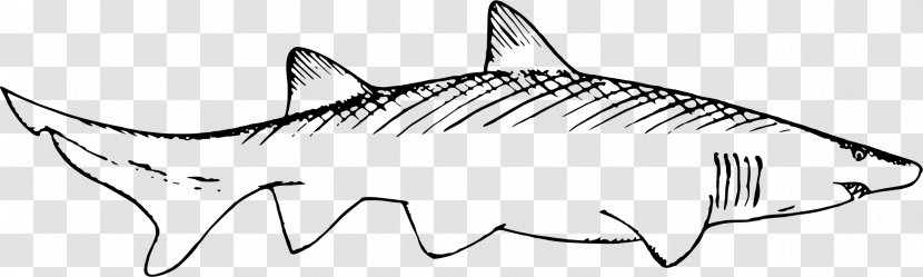 Shark Remora Black And White Marine Mammal Clip Art - Artwork Transparent PNG